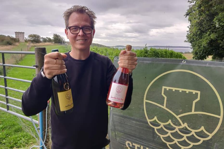 Den danske vinhøst 2026: Rekordhøst hos nogle vinbønder – andre får færre, men mere koncentrerede druer